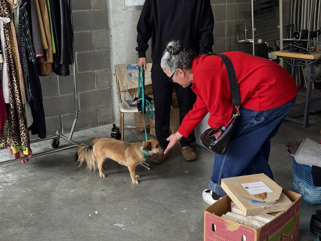 Seller Stephanie welcomes a four-legged visitor with delicious doggie treats